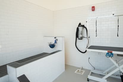 Ascend at Greenfield Dog Spa